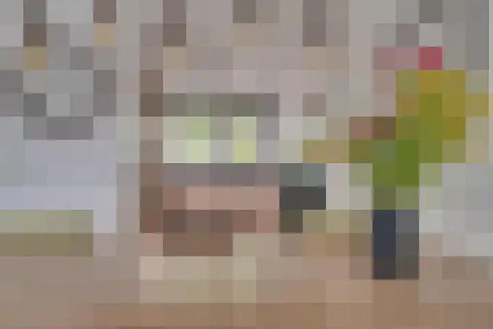 Lisdodde 62 Tegelen thumbnail 9