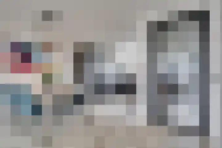 Lisdodde 64 Vlijmen thumbnail 13