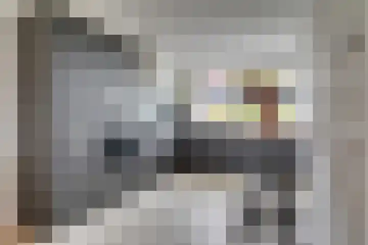 Lisdodde 64 Vlijmen thumbnail 14