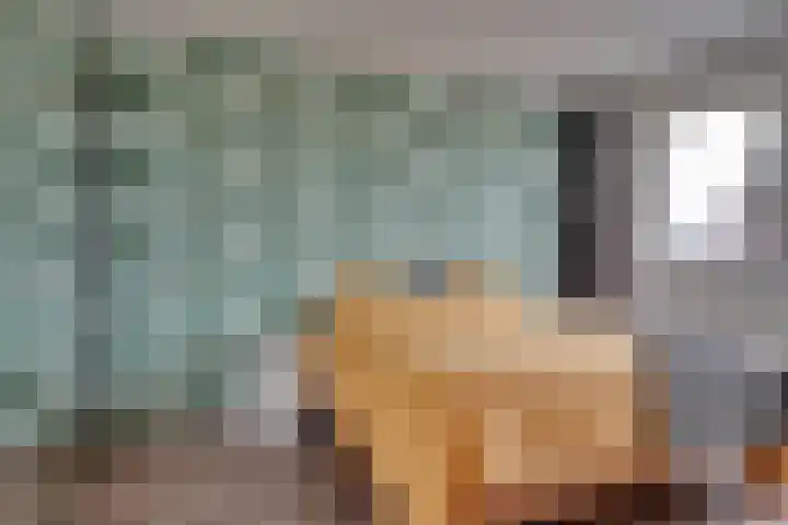 Lisdodde 64 Vlijmen thumbnail 19