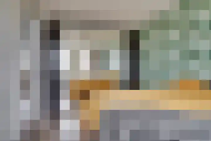 Lisdodde 64 Vlijmen thumbnail 21