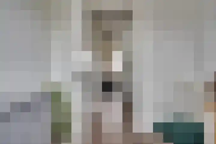 Lisdodde 64 Vlijmen thumbnail 26