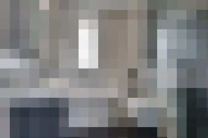 Lisdodde 64 Vlijmen thumbnail 27