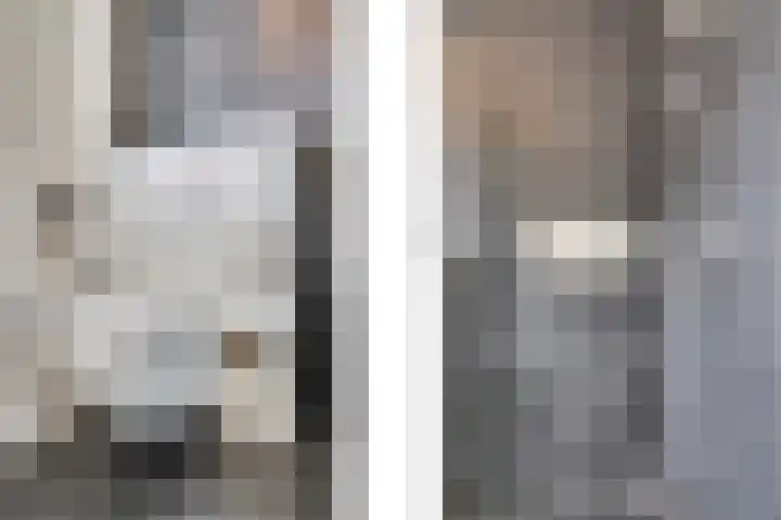 Lisdodde 64 Vlijmen thumbnail 29