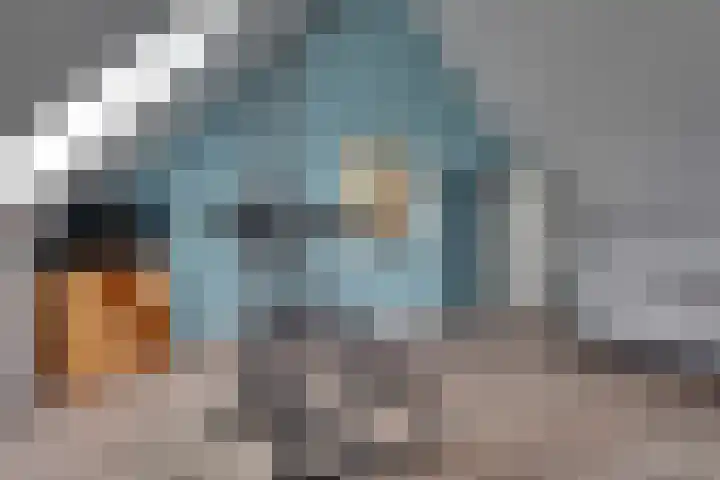 Lisdodde 64 Vlijmen thumbnail 30