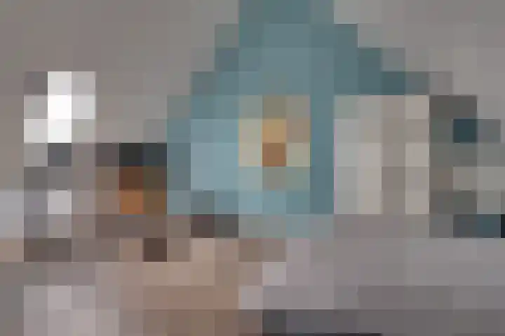 Lisdodde 64 Vlijmen thumbnail 33