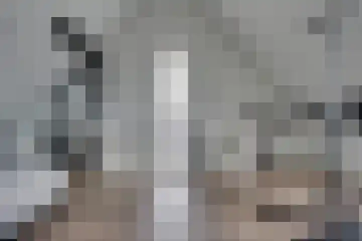 Lisdodde 64 Vlijmen thumbnail 34