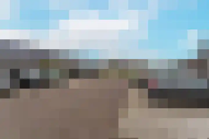 Lisdodde 64 Vlijmen thumbnail 38