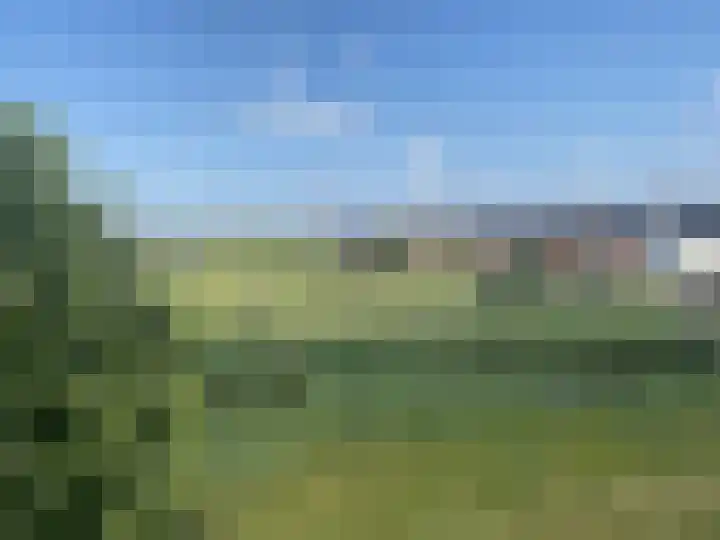 Lisdodde 64 Vlijmen thumbnail 39