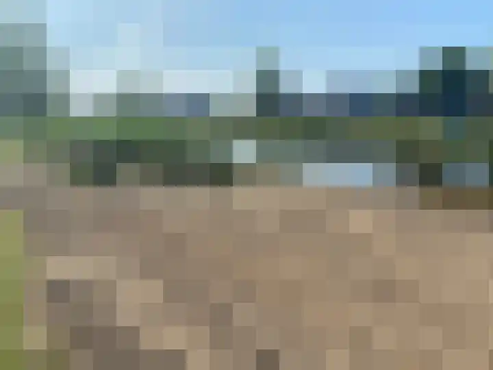Lisdodde 64 Vlijmen thumbnail 40