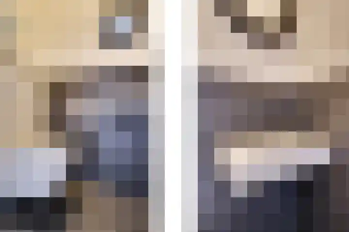 Lisdodde 64 Vlijmen thumbnail 6