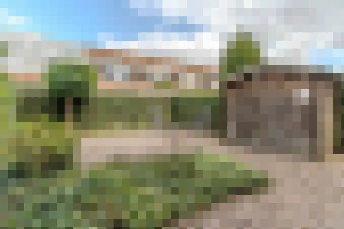 Lisdodde 68 Breda thumbnail 31