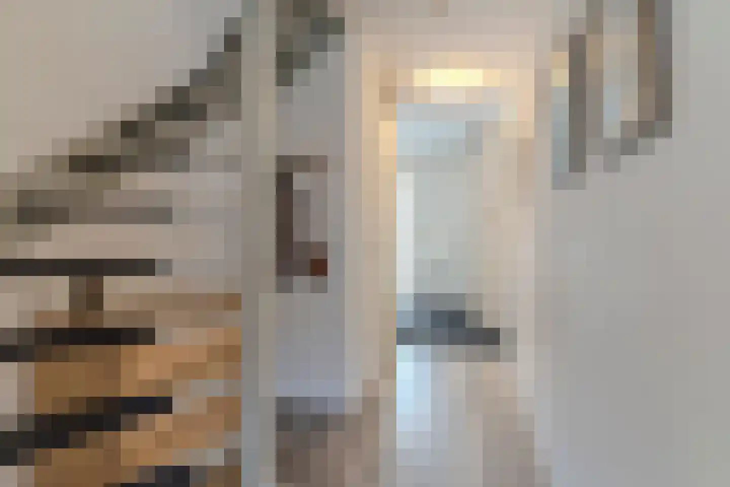Lisdodde 68 Breda thumbnail 4