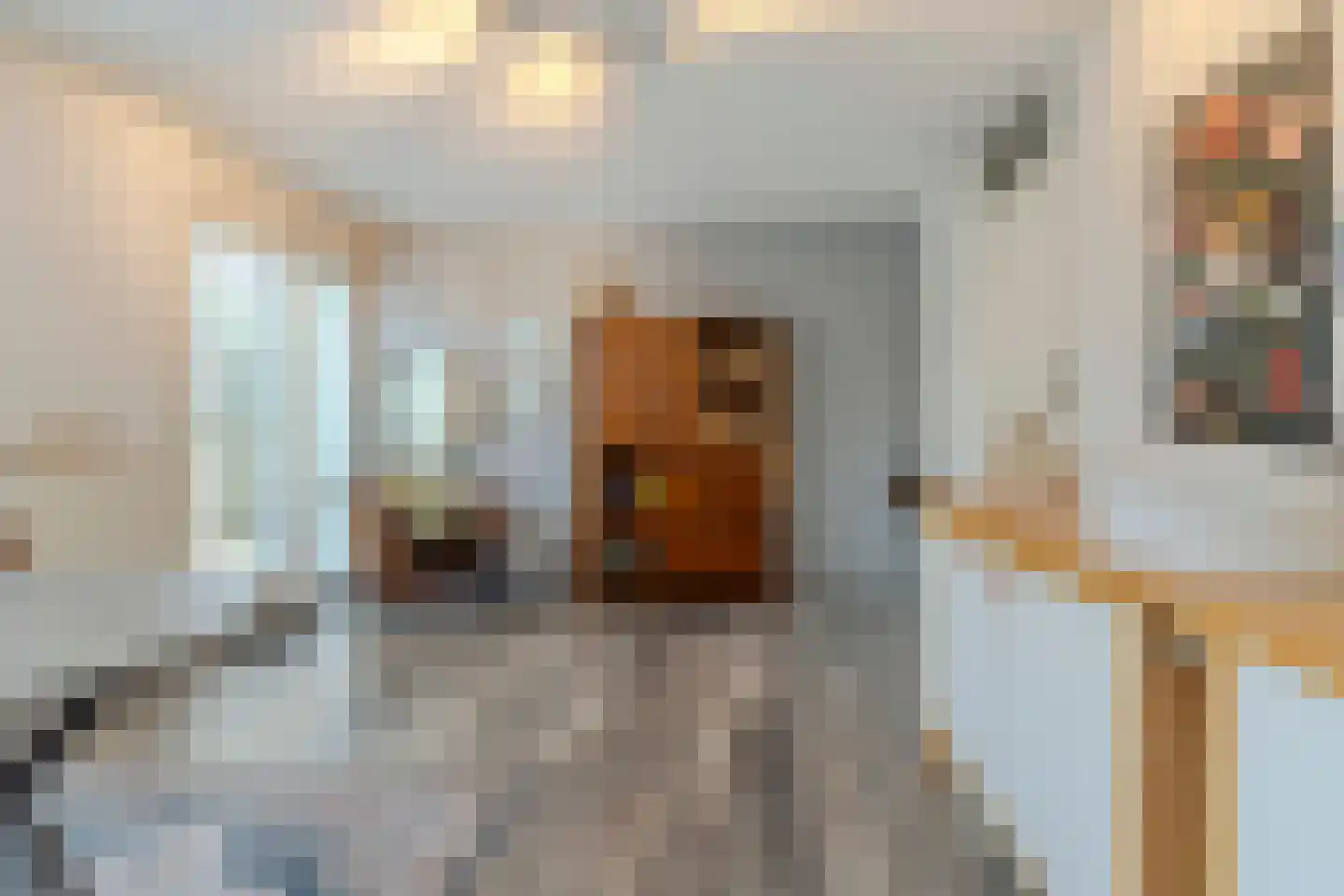 Lisdodde 68 Breda thumbnail 9