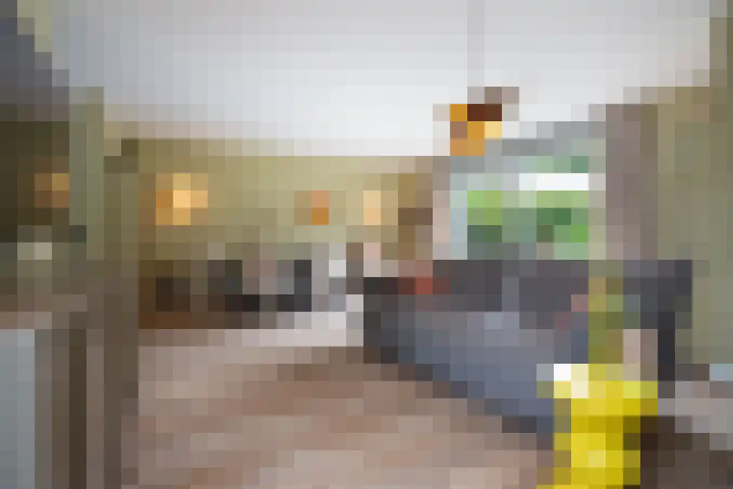Lisdodde 7 Boxtel thumbnail 12
