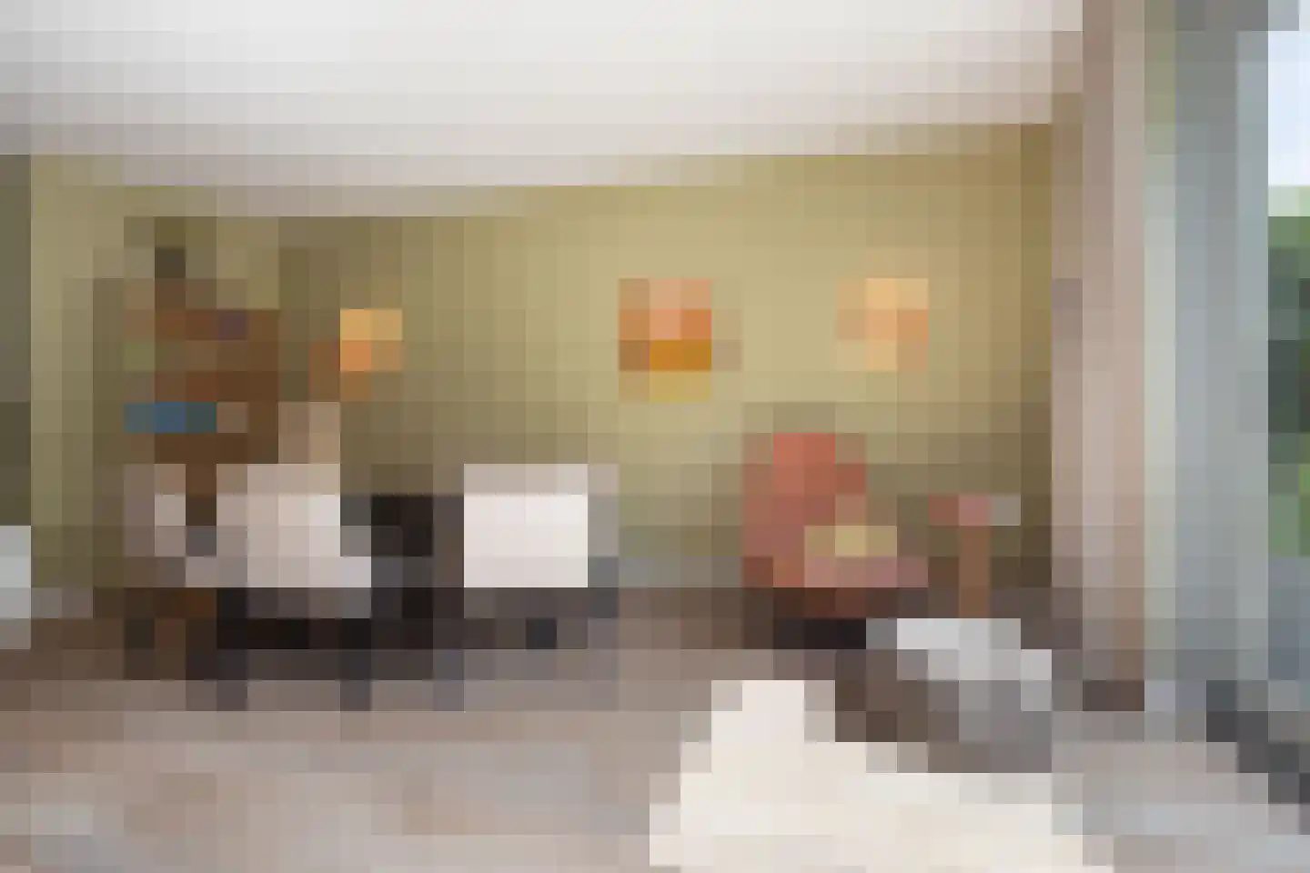 Lisdodde 7 Boxtel thumbnail 15