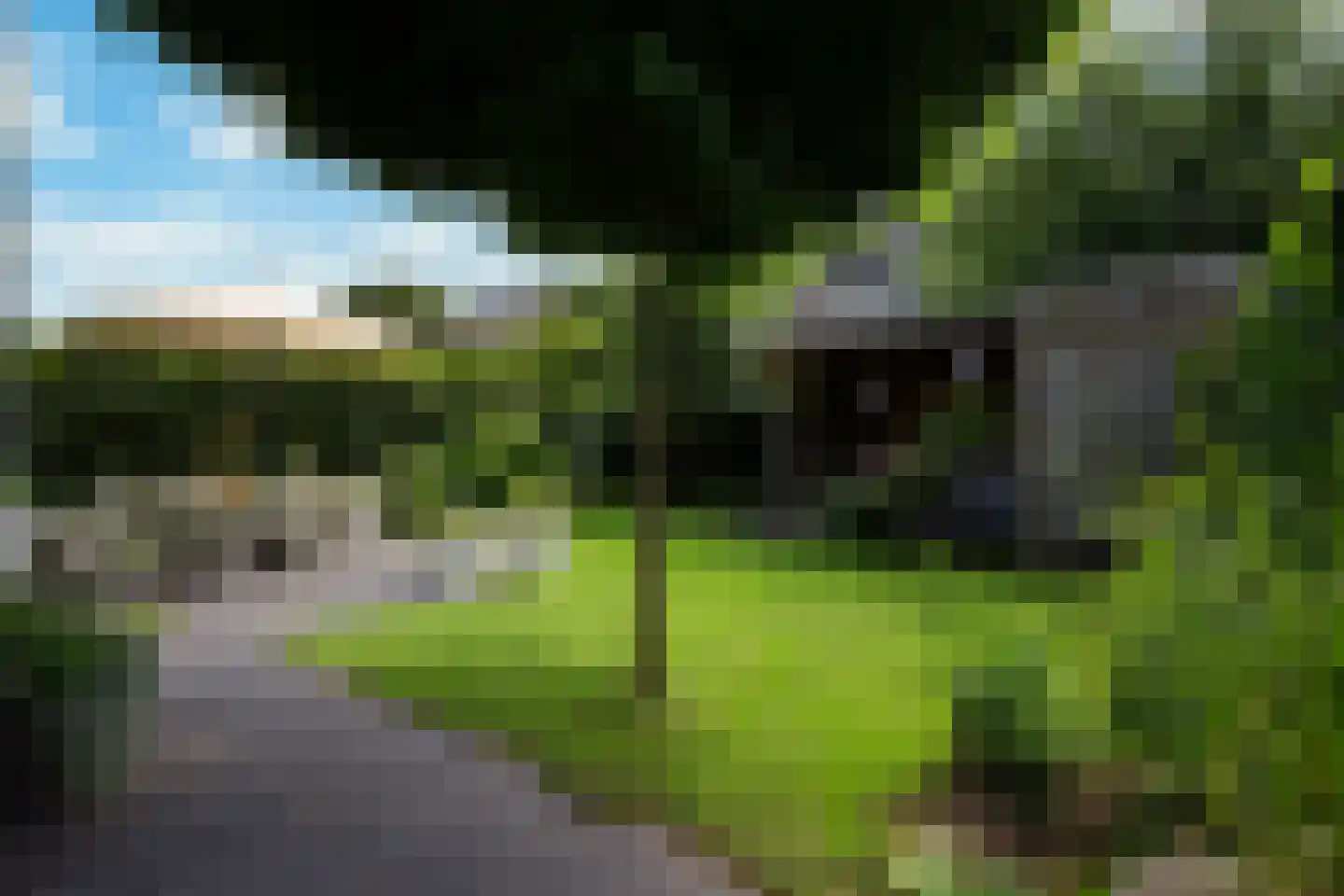 Lisdodde 7 Boxtel thumbnail 25