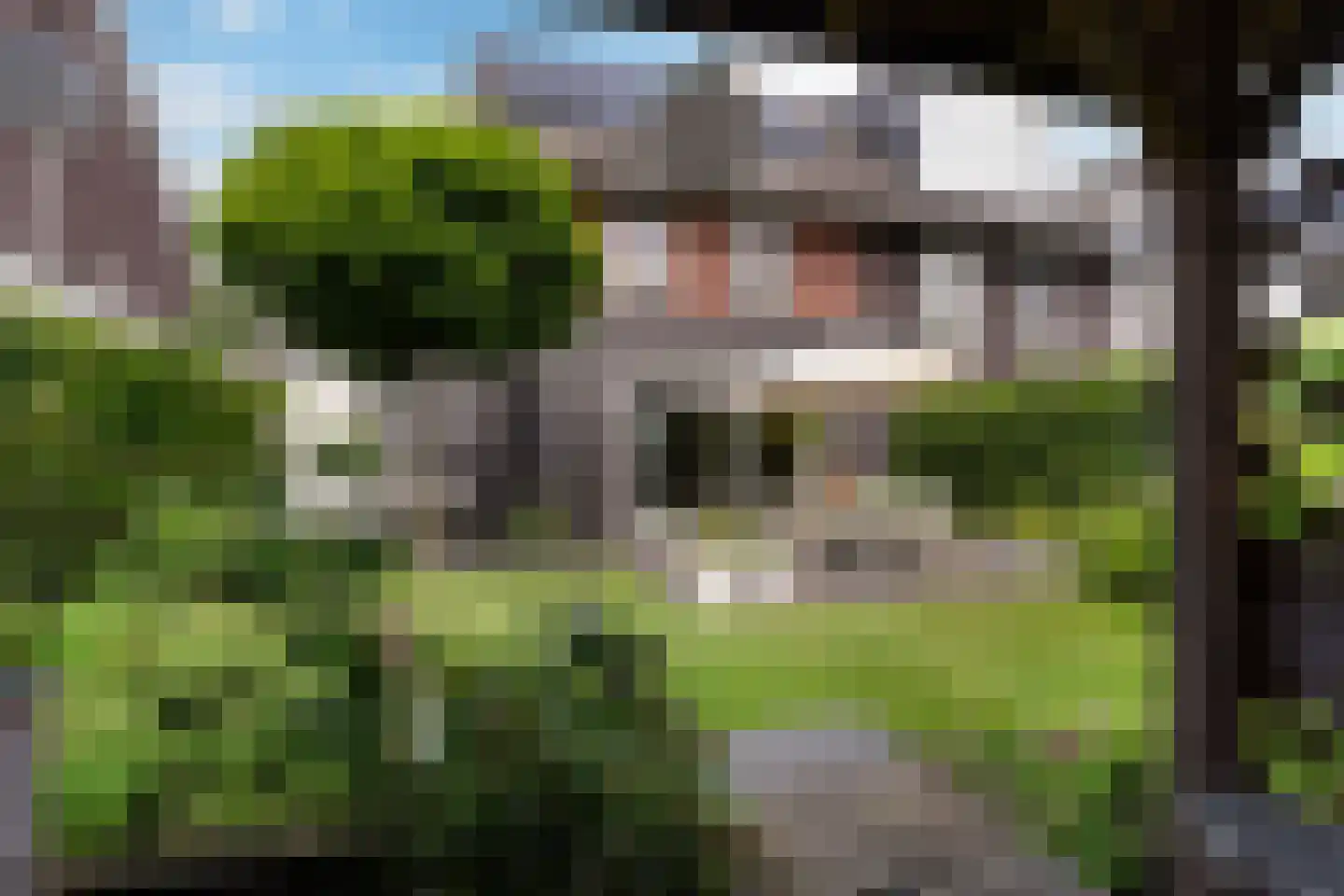 Lisdodde 7 Boxtel thumbnail 28