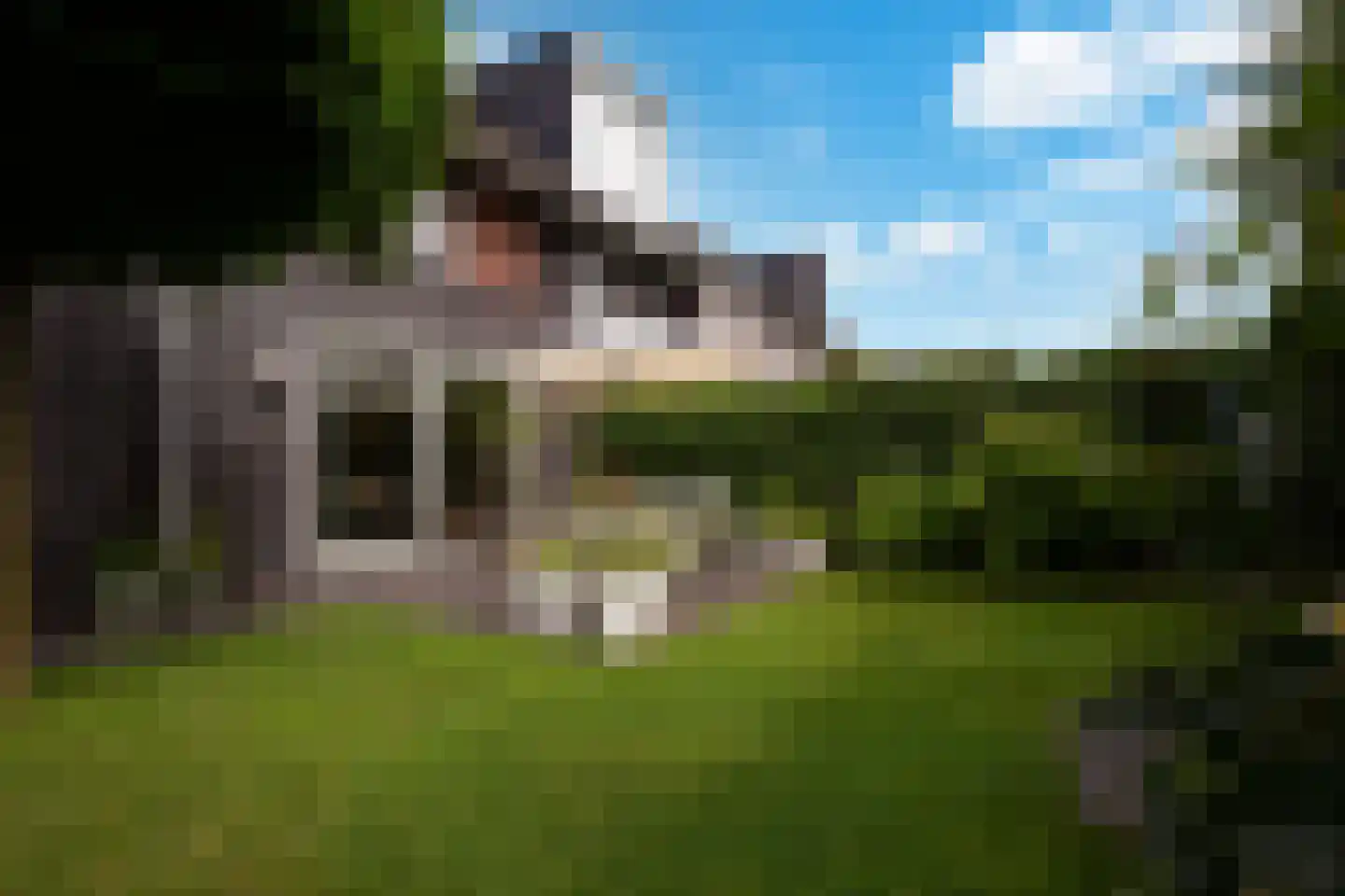 Lisdodde 7 Boxtel thumbnail 29