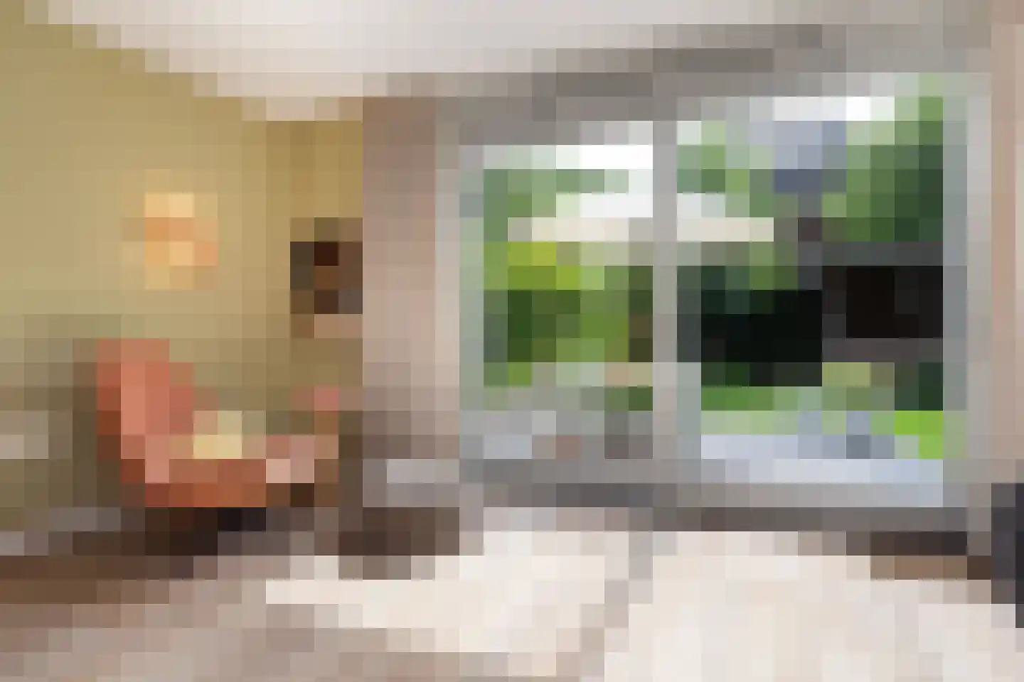 Lisdodde 7 Boxtel thumbnail 4