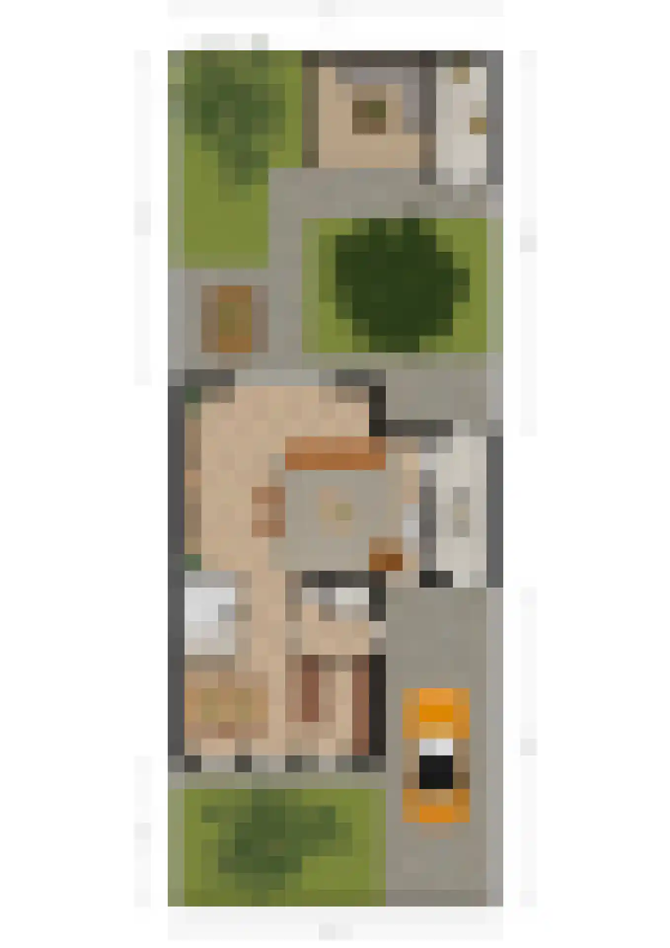 Lisdodde 7 Boxtel thumbnail 45
