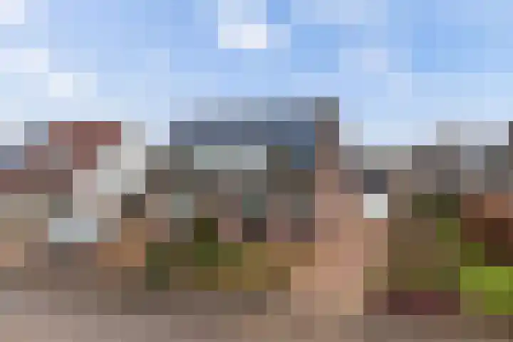 Lisdodde 7 Buitenpost