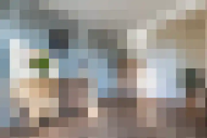 Lisdodde 7 Buitenpost thumbnail 13