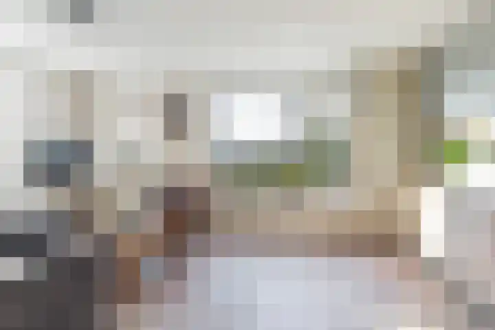 Lisdodde 7 Buitenpost thumbnail 14