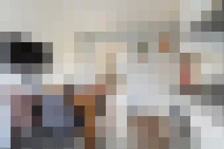 Lisdodde 7 Buitenpost thumbnail 15