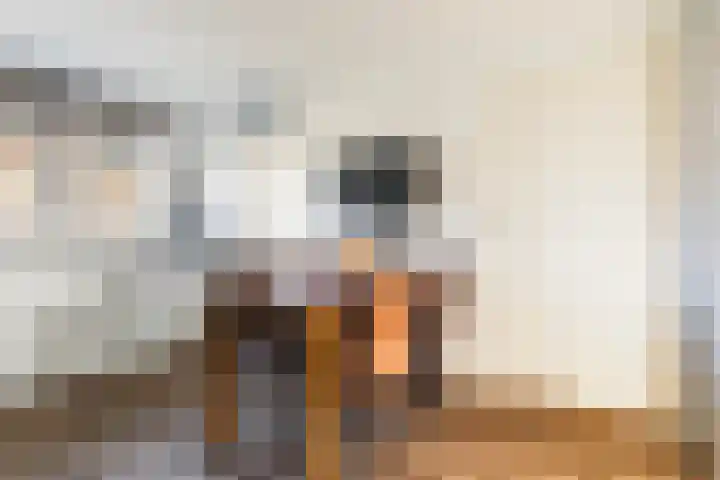 Lisdodde 7 Buitenpost thumbnail 16
