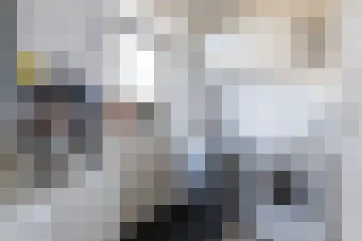 Lisdodde 7 Buitenpost thumbnail 18