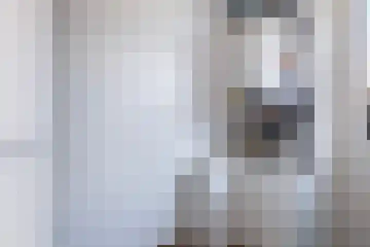 Lisdodde 7 Buitenpost thumbnail 19