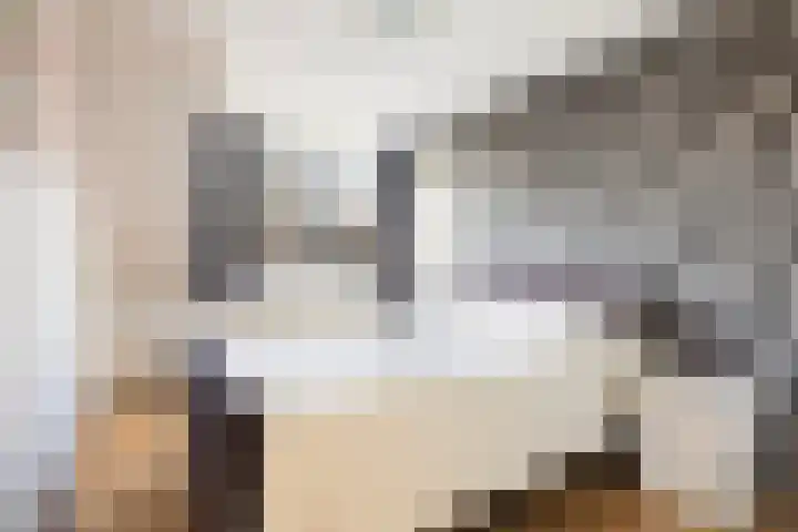 Lisdodde 7 Buitenpost thumbnail 20