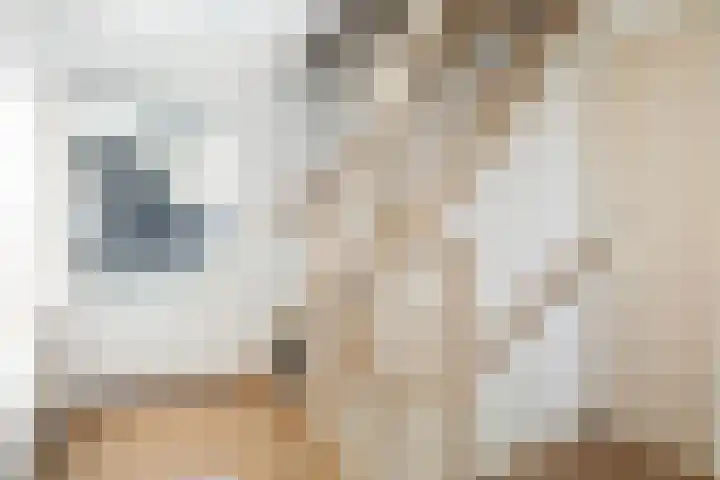 Lisdodde 7 Buitenpost thumbnail 21