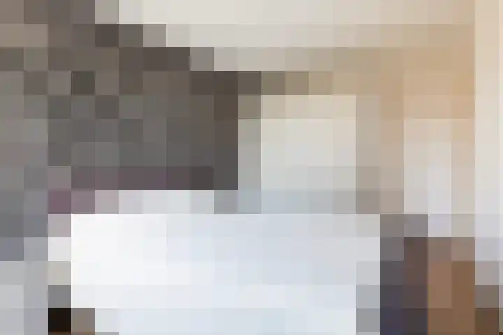 Lisdodde 7 Buitenpost thumbnail 22