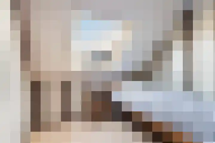Lisdodde 7 Buitenpost thumbnail 24