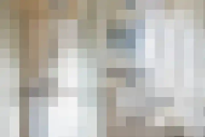 Lisdodde 7 Buitenpost thumbnail 28