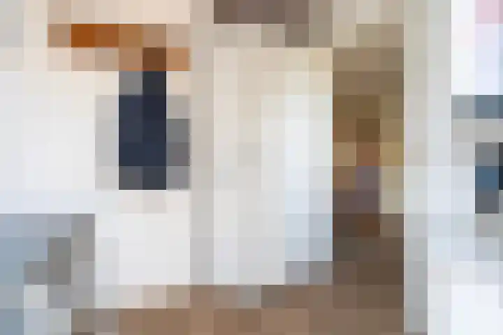 Lisdodde 7 Buitenpost thumbnail 29