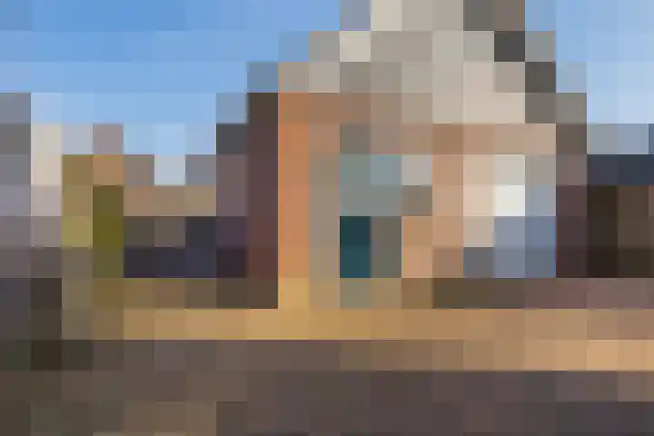 Lisdodde 7 Buitenpost foto 3