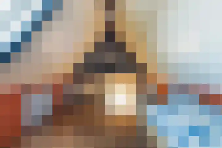 Lisdodde 7 Buitenpost thumbnail 30