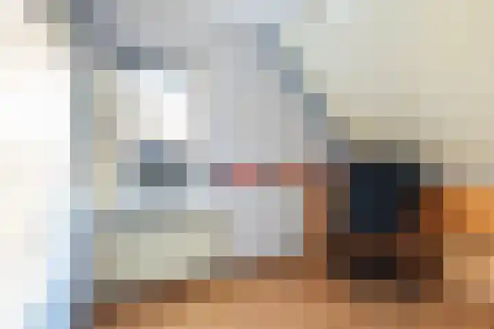 Lisdodde 7 Buitenpost thumbnail 32