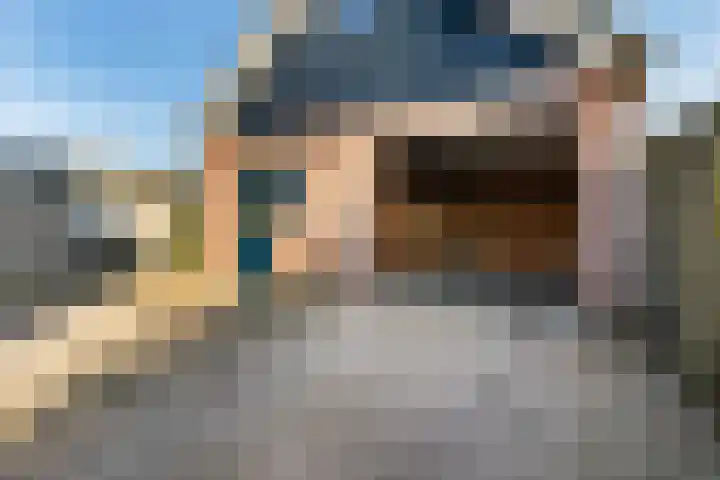 Lisdodde 7 Buitenpost thumbnail 34