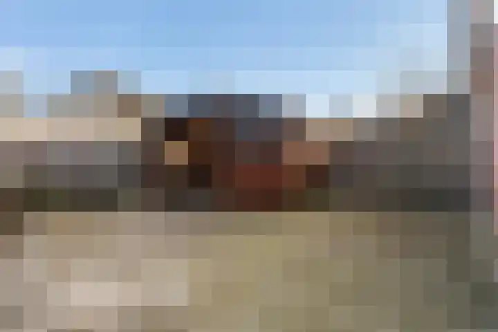 Lisdodde 7 Buitenpost thumbnail 37
