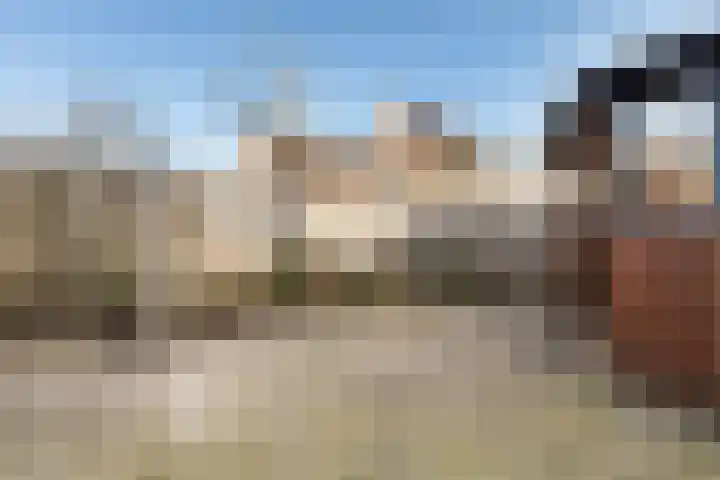 Lisdodde 7 Buitenpost thumbnail 38