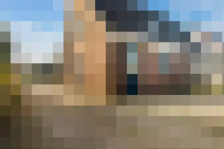 Lisdodde 7 Buitenpost thumbnail 41