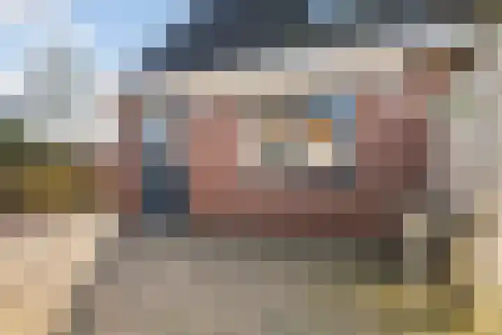 Lisdodde 7 Buitenpost thumbnail 42
