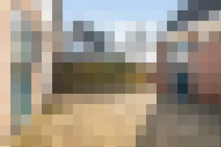 Lisdodde 7 Buitenpost thumbnail 43
