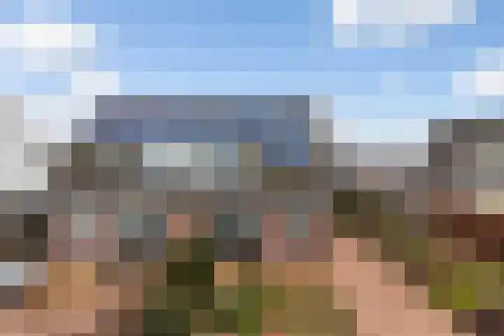 Lisdodde 7 Buitenpost thumbnail 44