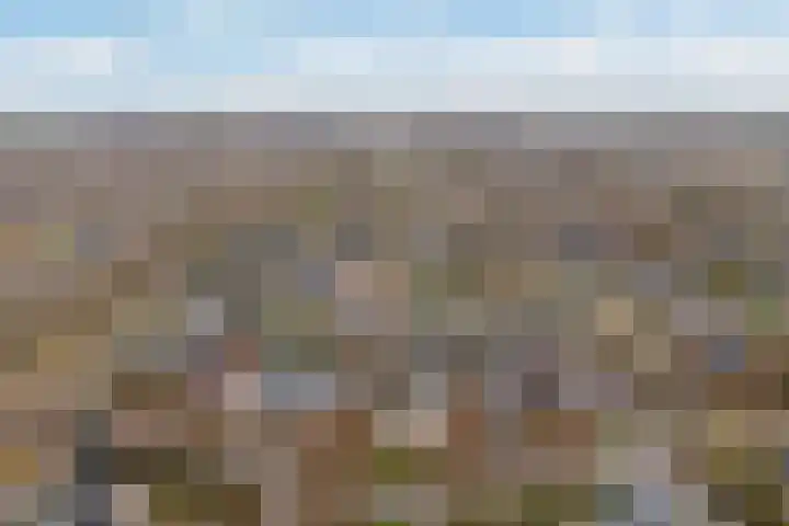 Lisdodde 7 Buitenpost thumbnail 45