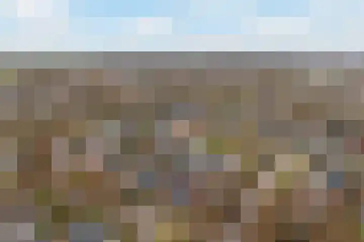 Lisdodde 7 Buitenpost thumbnail 46